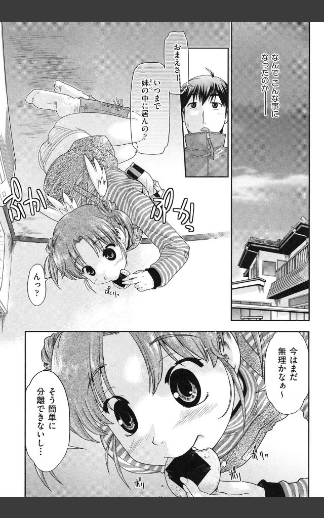サンプルページ6