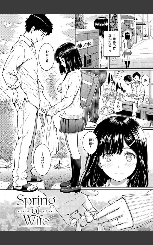 サンプルページ24