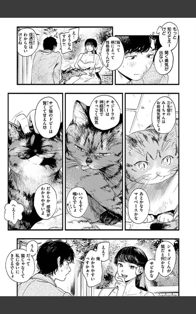 サンプルページ4