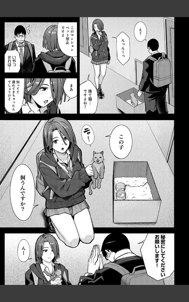 サンプルページ12