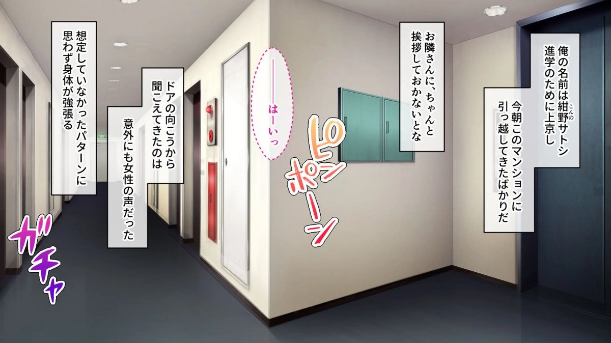 サンプル画像1