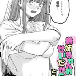 お姉ちゃんのせいだか